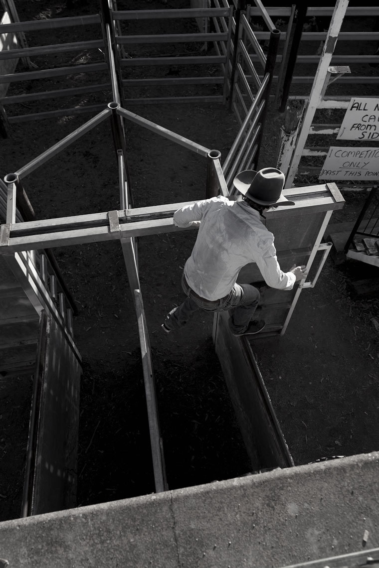 Rodeo12